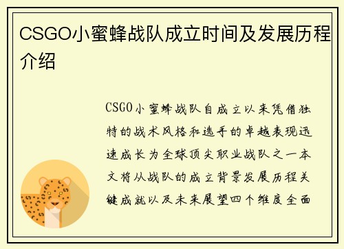 CSGO小蜜蜂战队成立时间及发展历程介绍