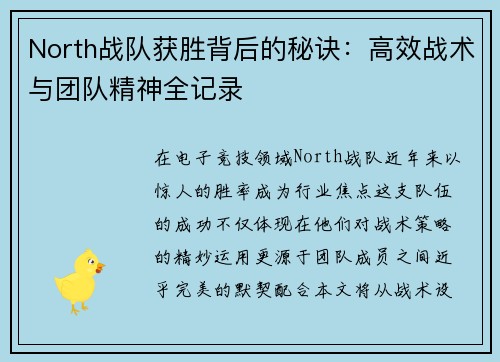 North战队获胜背后的秘诀：高效战术与团队精神全记录